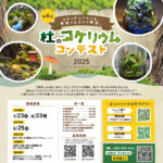 杜のコケリウムコンテスト